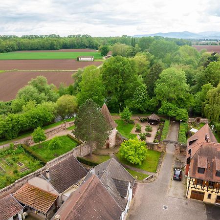 La Ruine - Gite D'Alsace Jusqu'A 10 Personnes Avec Spa Interieur Guemar Exterior photo